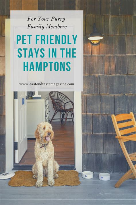 hamptons dog friendly hotels.